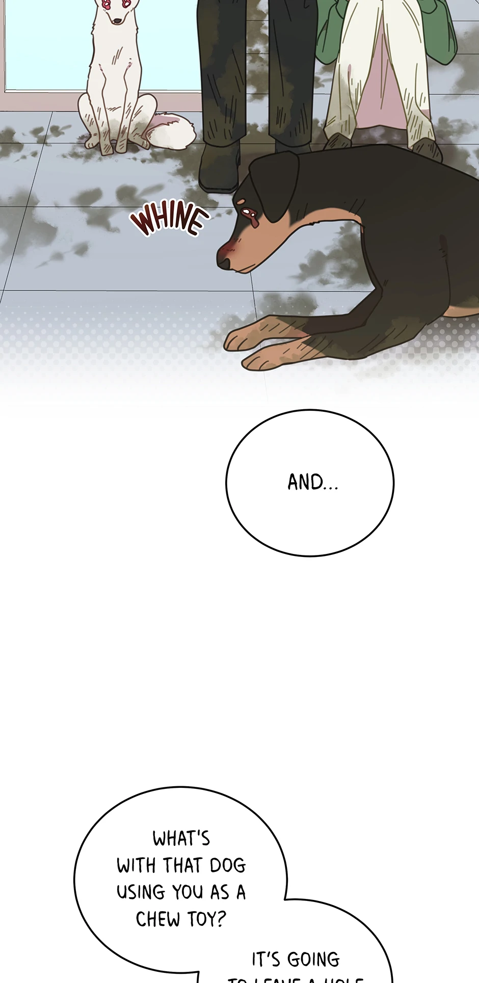 An Animal Hospital In The Border Area Chapter 115 page 64