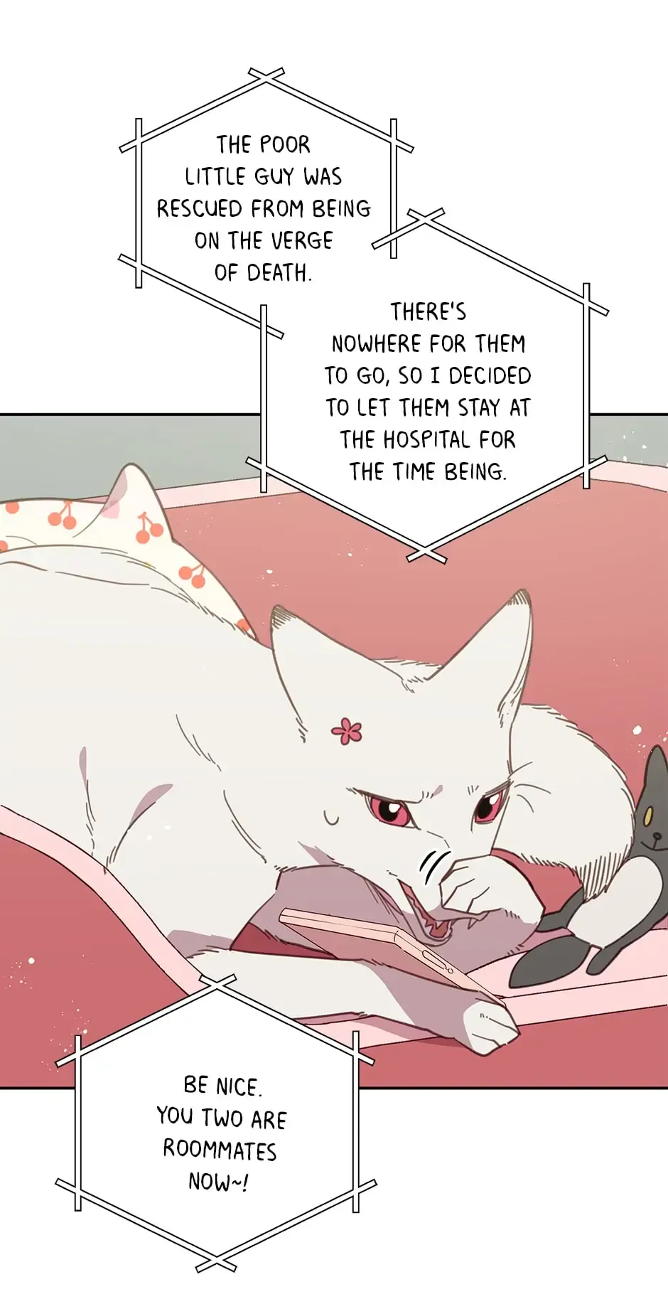 An Animal Hospital In The Border Area Chapter 65 page 23