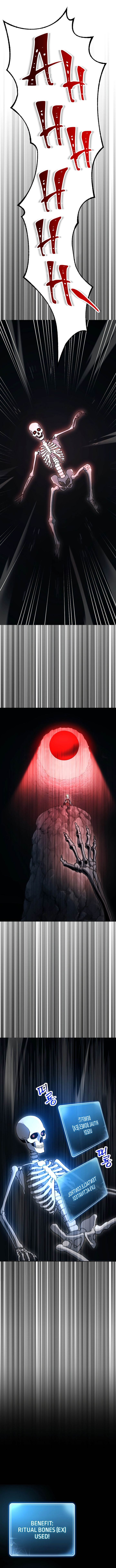 Skeleton Soldier Couldn’T Protect The Dungeon Chapter 206 page 1